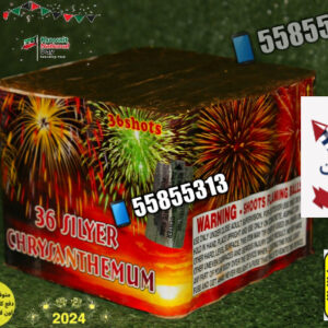 راجمة 36 صاروخ SILYER
