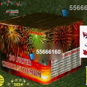 راجمة 36 صاروخ SILYER