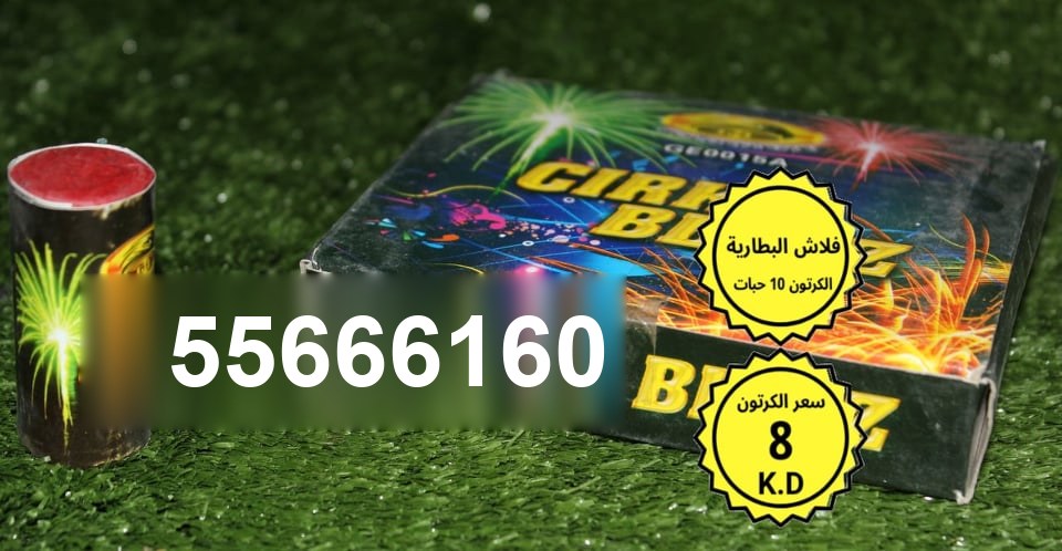 فلاش البطارية الكرتون 10 حبات