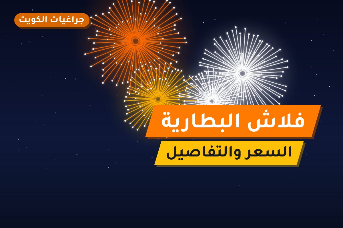 فلاش البطارية: السعر والاستخدام الآمن وأفضل المناسبات