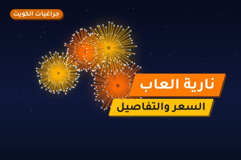 نارية العاب: السعر والاستخدام الآمن وأفضل المناسبات