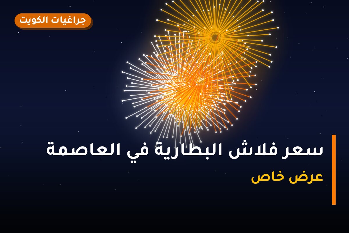 دليل سعر فلاش البطارية في العاصمة: كل ما تحتاج معرفته قبل الطلب