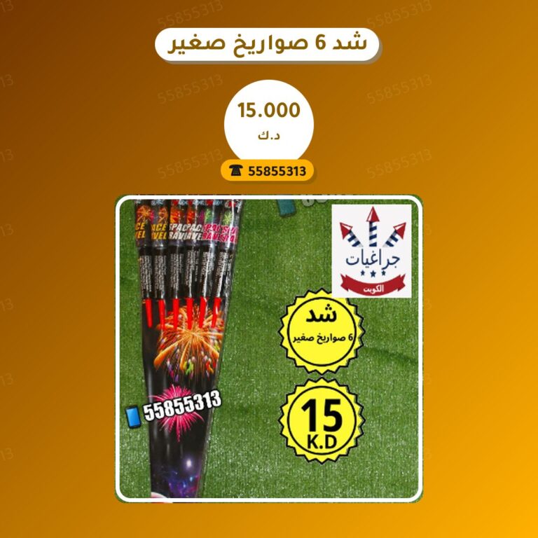 دليل شد 6 صواريخ صغير: كل ما تحتاج معرفته قبل الطلب