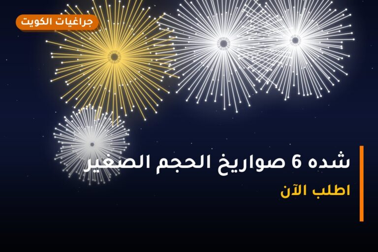 شده 6 صواريخ الحجم الصغير: السعر والاستخدام الآمن وأفضل المناسبات