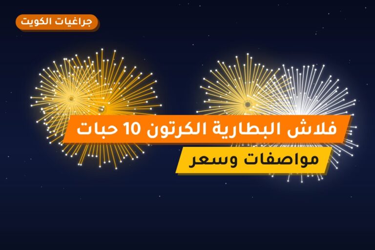 فلاش البطارية الكرتون 10 حبات في الكويت — السعر والتفاصيل