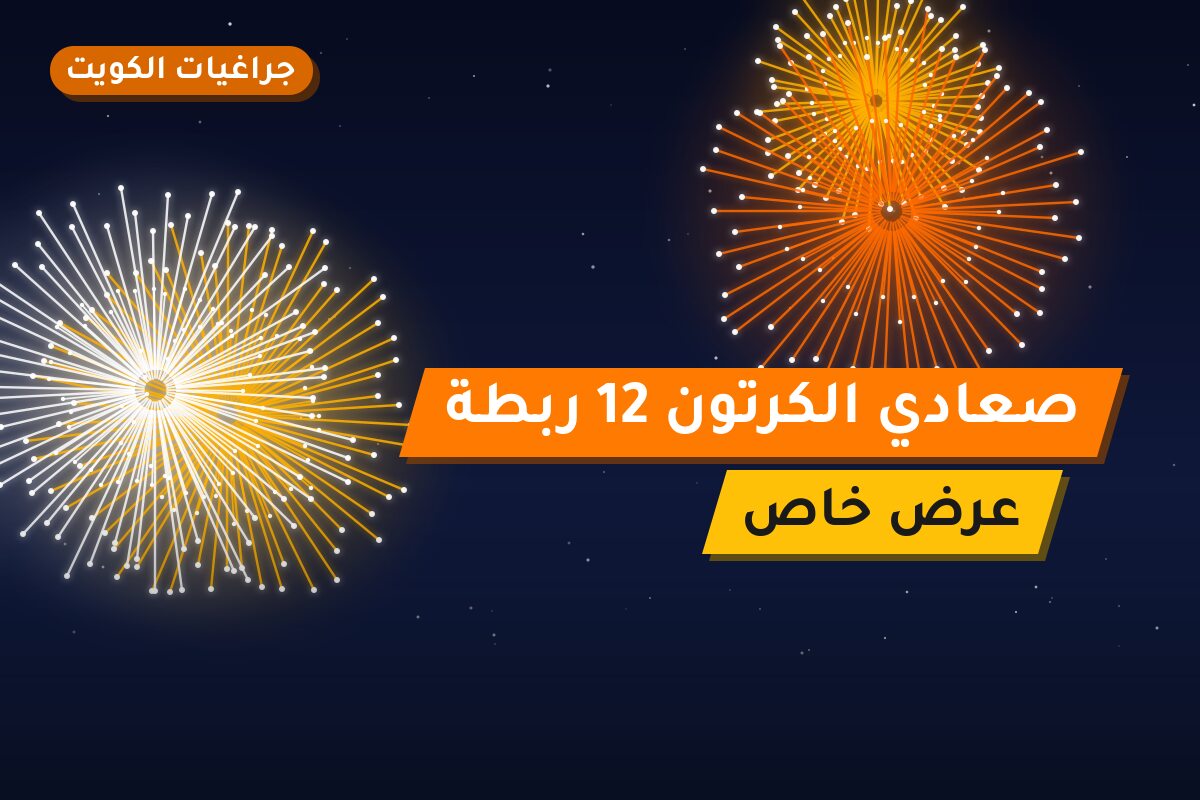 صعادي الكرتون 12 ربطة: السعر والمواصفات الكاملة