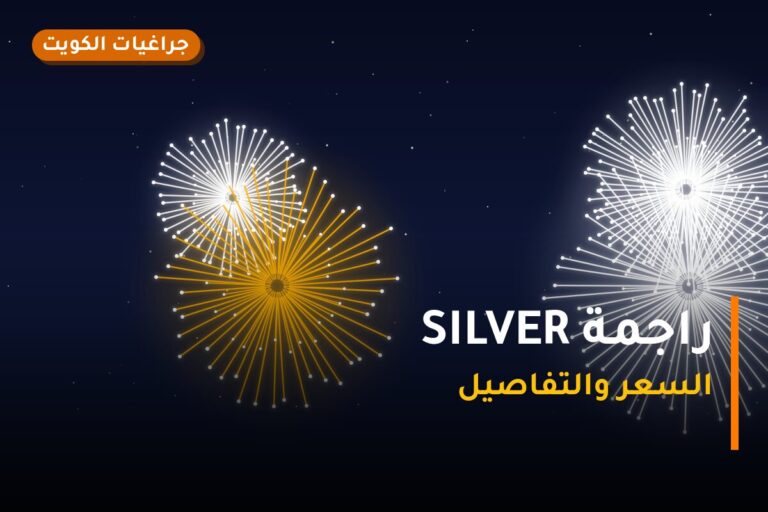 راجمة SILVER: السعر والمواصفات الكاملة