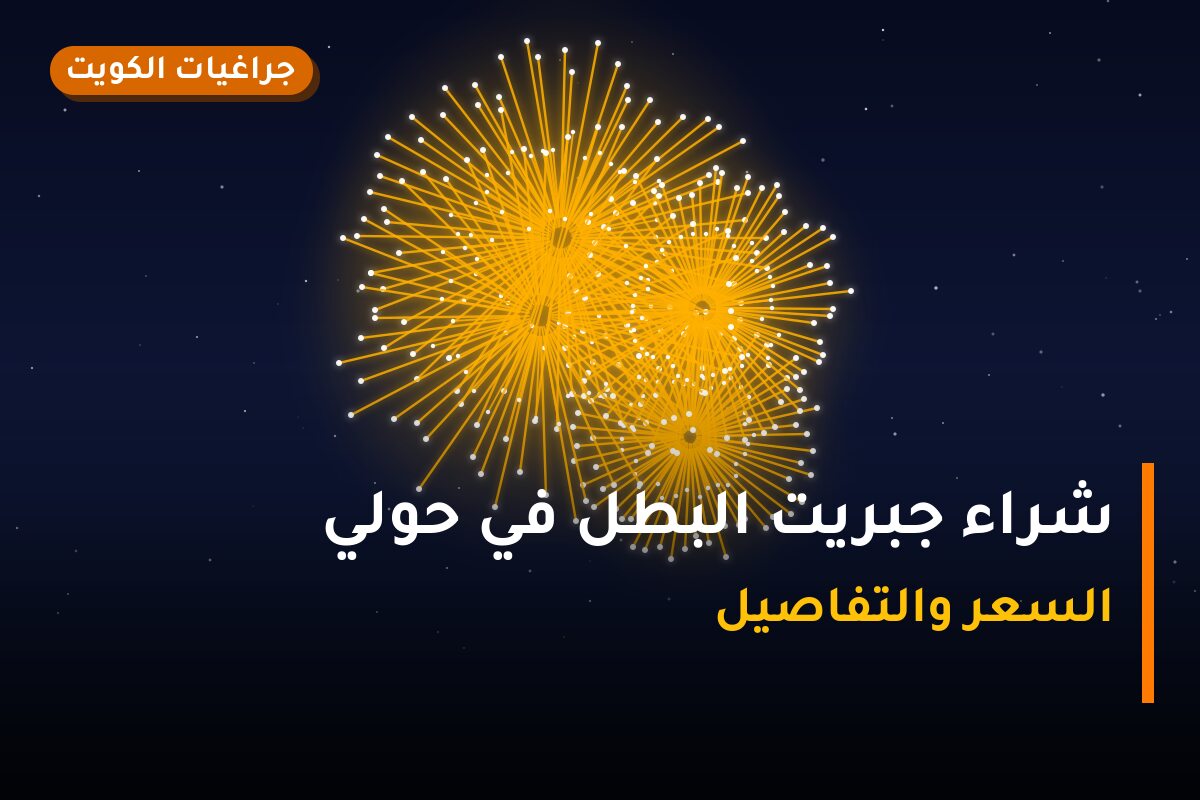 هل شراء جبريت البطل في حولي مناسب لمناسبتك؟ دليل الاختيار والسعر