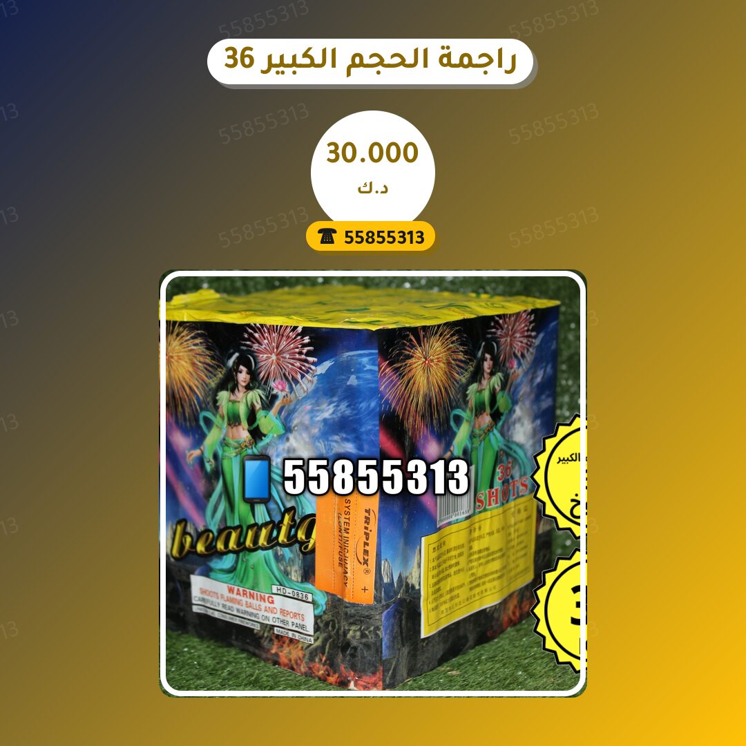 دليل راجمة الحجم الكبير 36 صاروخ — صورة المنتج
