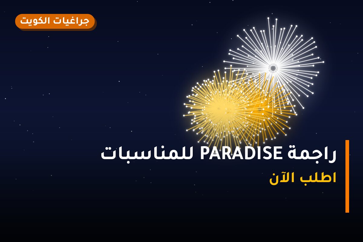 راجمة PARADISE للمناسبات العائلية: السعر والمواصفات الكاملة