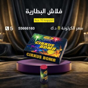 شراء فلاش البطارية في العاصمة